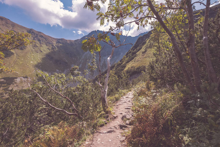 斯洛伐克塔特拉山顶的徒步旅行路线