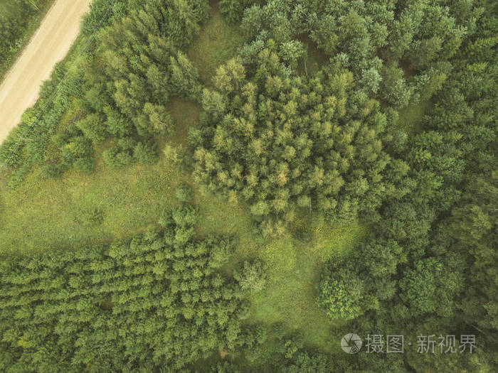 绿色森林和树木中农村砾石路的鸟瞰图