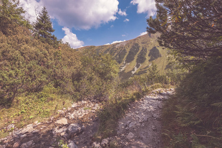 斯洛伐克塔特拉山顶的徒步旅行路线