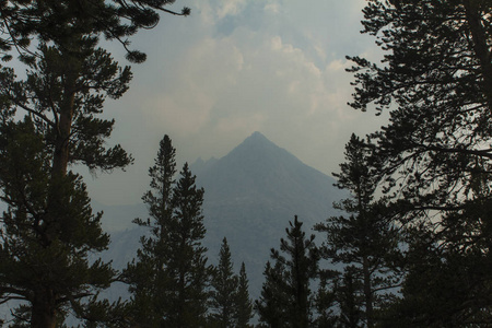 山的自然风景