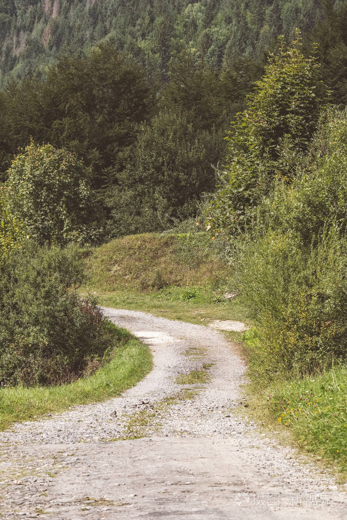夏天的简易乡村碎石路周围有树木