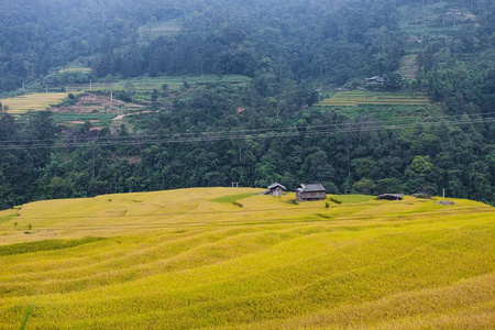 梯田上的稻田。 田地准备种植水稻。 南丹胡延新门哈江省。 越南北部