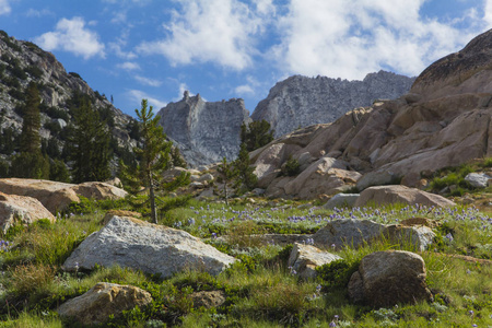 美丽的山脉自然景观风景