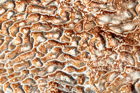 石灰石表面以复杂的图案形式出现。 纹理是由流动的水在土耳其帕穆卡勒多年。 一种有趣的自然现象。