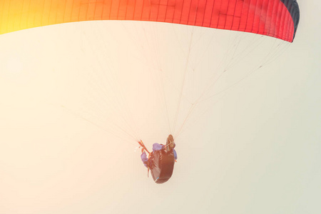 滑翔伞在阳光下飞行。 极限运动