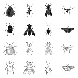 昆虫和飞行标志的孤立对象。股票昆虫和元素矢量图标集