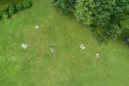 一群人在夏季公园的顶部草坪上日光浴