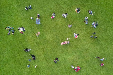 人们坐在公园的绿色草坪上的俯视图