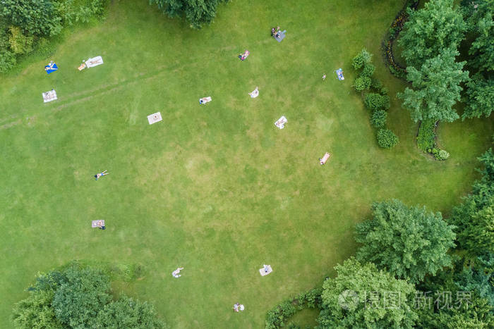 人们躺在夏天公园的绿色草坪上的俯视图