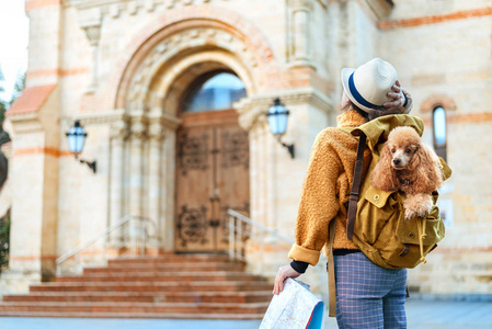 女旅行者带着狗在背包里检查建筑纪念碑。 旅行的概念。