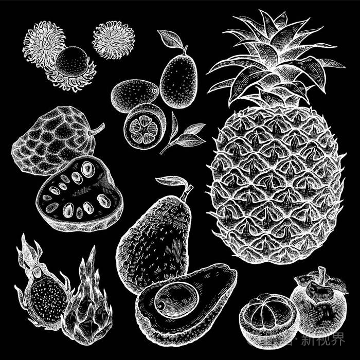 黑板上的白色粉笔. 异国情调的水果插图. 矢量手绘隔离.