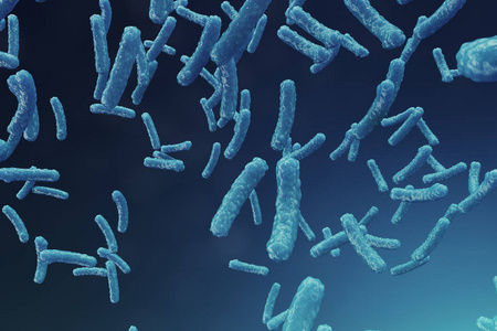 病毒流行性感冒,肝炎,艾滋病,大肠杆菌,大肠芽孢杆菌.