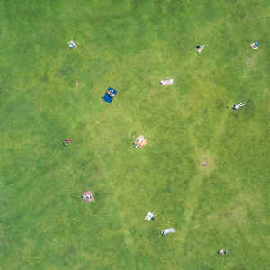 人们在绿色的草坪顶上晒日光浴