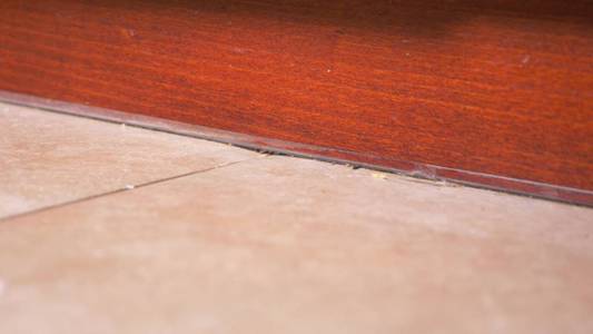 在厨房地板上关闭污垢,灰尘,毛发和剩菜照片