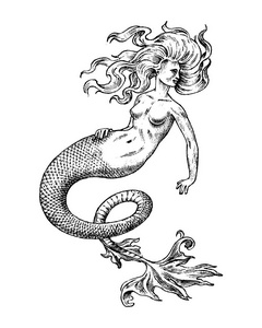 水下怪兽美人鱼女人海妖.古董神话希腊怪兽.神话动物.海洋符号.