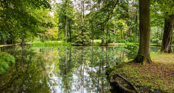 水上森林公园图片