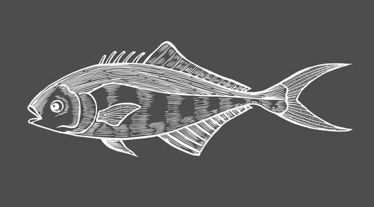 鱼的墨水素描. 黑色背景上手绘矢量插图. 复古风格.照片