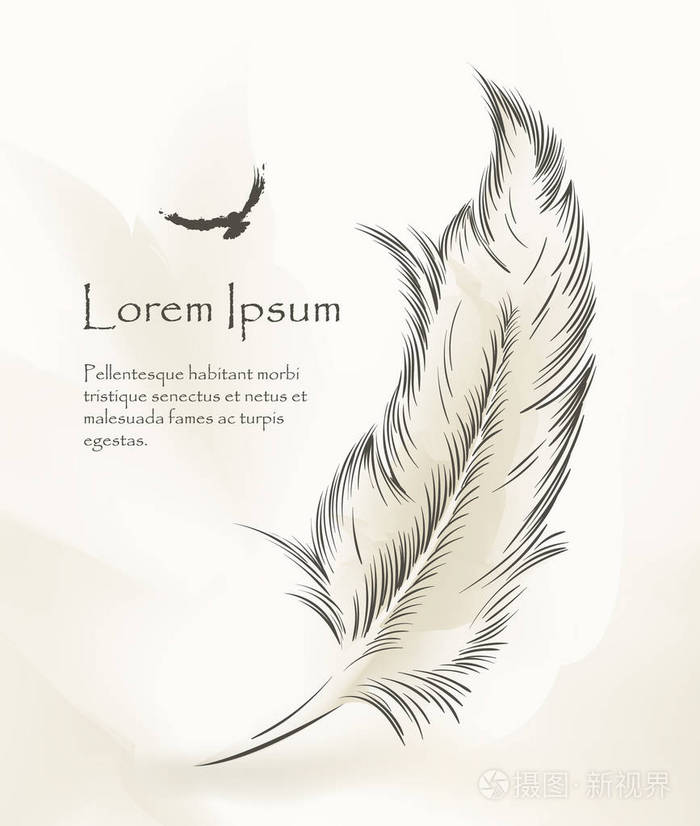 用飞鸟来写旧羽毛画