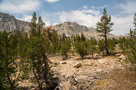 s Sierra Nevada