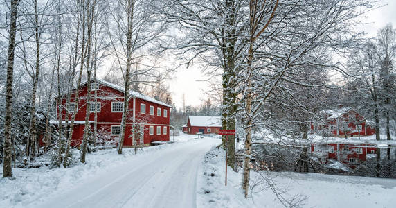 田园诗般的瑞典村庄冬季风景