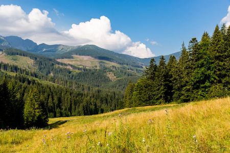 斯洛伐克低塔特拉斯山谷景