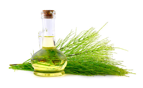 普通马尾药用草本植物,蒸馏精油提取物,并在玻璃罐中输注. 还有马文.