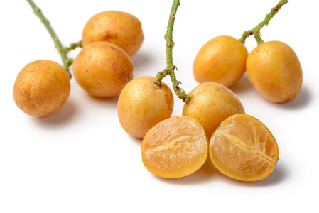 黄皮水果图片-黄皮水果素材-黄皮水果插画-摄图新视界