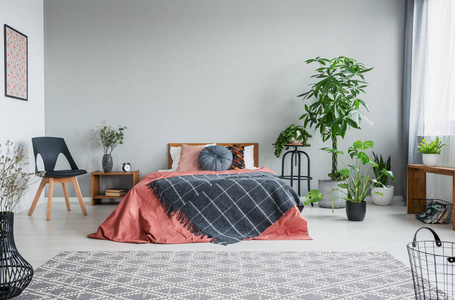 灰色卧室内部红色床上有图案的毯子，配有木制扶手椅和植物。 真实照片