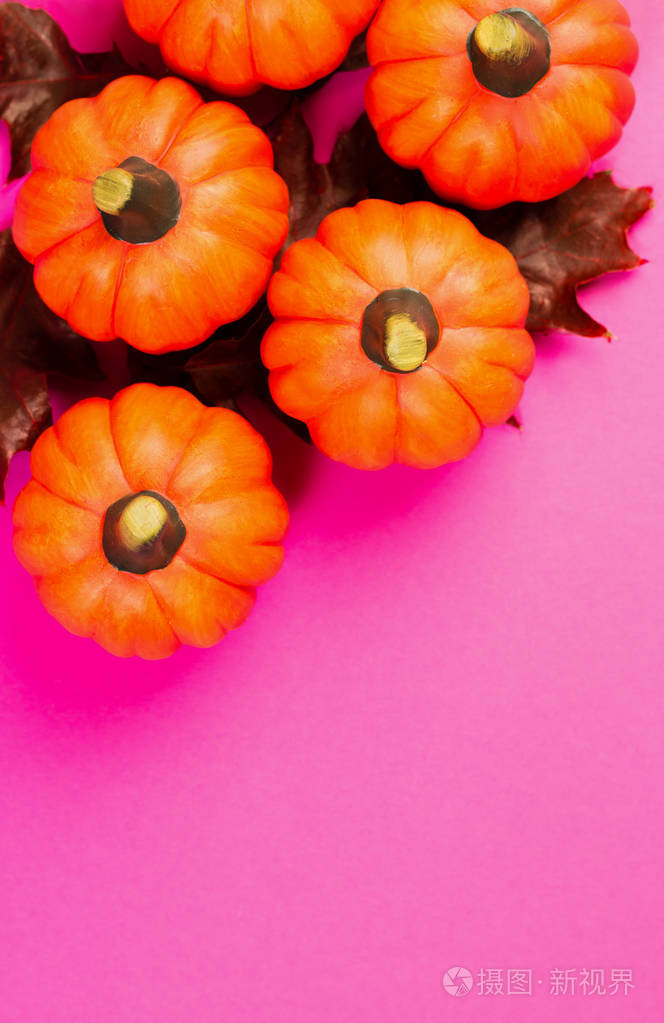 五个橙色南瓜,粉红色背景上有红色干燥的橡木叶.从上面看.