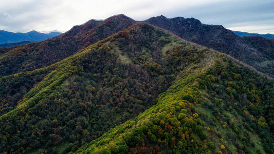 北海道的一枪。