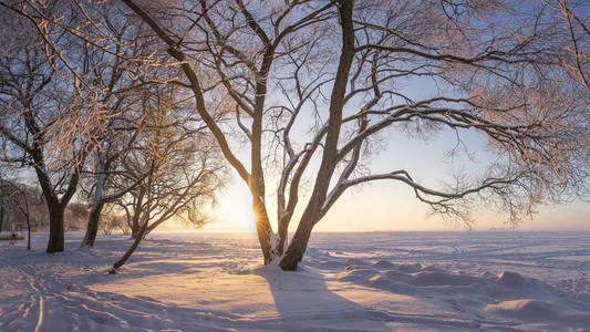 温暖的场景图片
