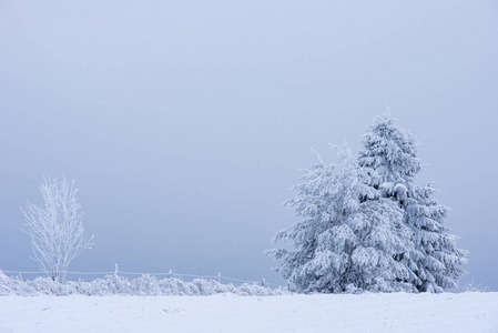 雪覆盖了山上结冰的树。 圣诞节时间寒假概念