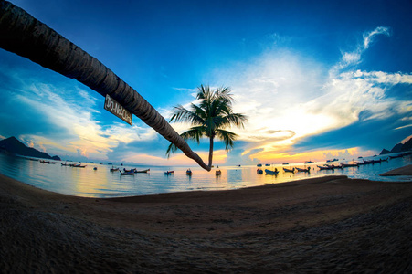 日落时海滩上美丽的椰子棕榈树。 泰国的暑假