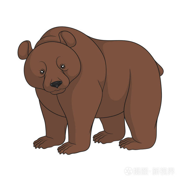俄罗斯棕熊漫画图片