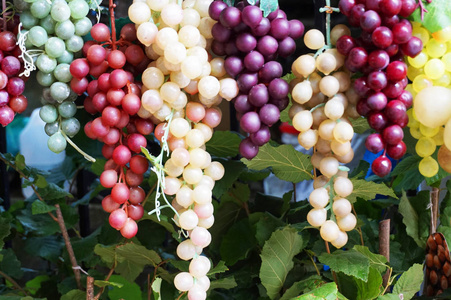 塑料周转箱葡萄图片-塑料周转箱葡萄素材-塑料周转箱葡萄插画-摄图新