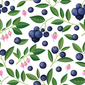 无缝的模式与蓝莓, 枝, 花。向量