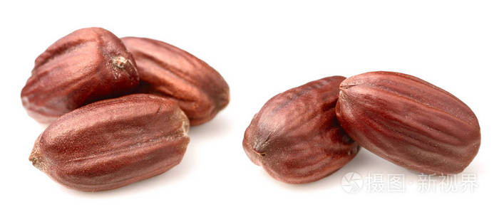 干燥的霍霍巴种子分离在白色