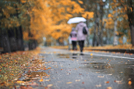 秋天的雨，在公园里