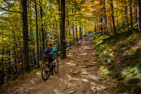 骑自行车，山地自行车的女人在秋天的森林里的自行车小径上。秋季山水林田山地骑行..女子自行车MTB流上坡小径。