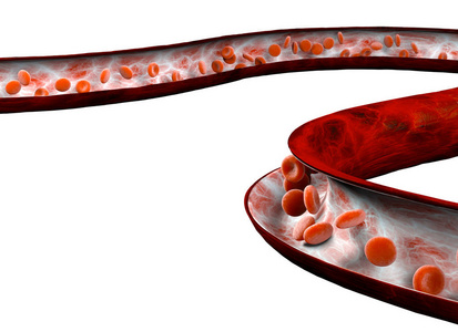 红细胞和血液通过静脉流动，小球形细胞含有血红蛋白，这种蛋白质给血液带来红色，并能够通过血液中的铁结合氧气。血液测试