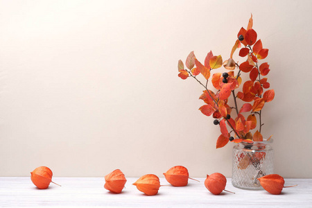 枫叶和灰树叶子在花瓶和干燥的植物中国灯笼在室内 秋季五颜六色的构图室内装饰照片 正版商用图片0774sk 摄图新视界