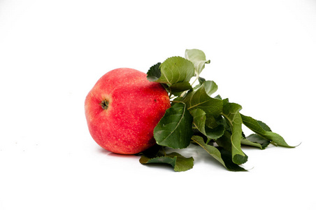 新鲜的红苹果，叶子分离在白色背景上。 带叶子的树枝。