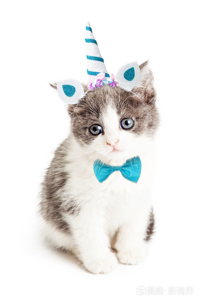 万圣节可爱的小猫戴着独角兽的耳朵和带蝴蝶结的喇叭头带