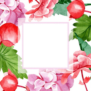水彩粉红海棠花。 花卉植物花。 框架边框装饰广场。 背景纹理包装图案框架或边框的水花野花。