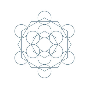 象征生命的花图片