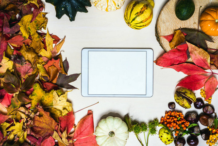 穆迪秋色背景图片与五颜六色的叶子南瓜栗子与白色空白平板，免费的信息空间作为模板。