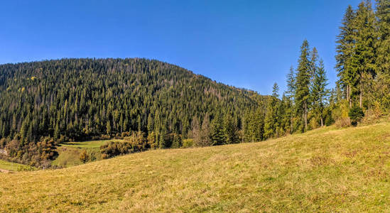 喀尔巴阡山在秋季晴天