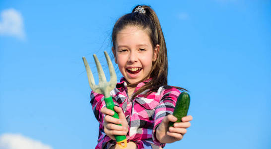 园艺活动。小女孩园丁在家庭农场工作。孩子开朗的园丁持有耙和黄瓜蓝天背景。有手耙的女孩园丁。园艺和收割概念