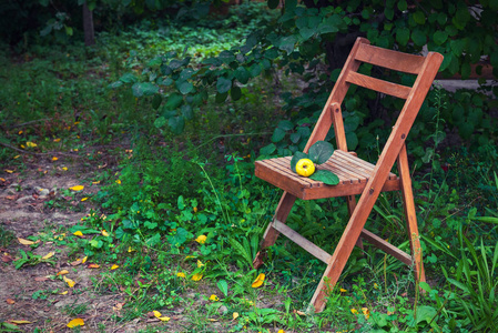乡村花园里的旧木制折叠椅
