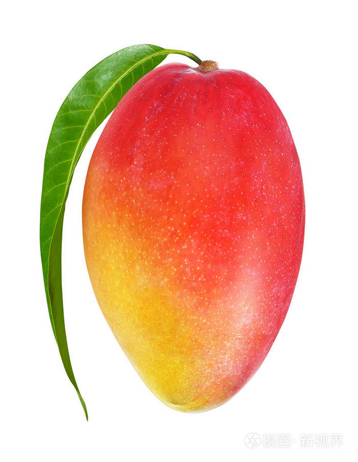 白色背景上分离的红色芒果裁剪路径